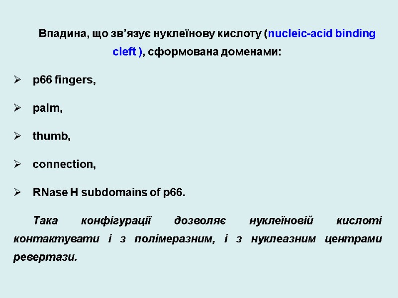 Впадина, що зв’язує нуклеїнову кислоту (nucleic-acid binding cleft ), сформована доменами: p66 fingers, 